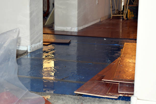 Professional Flood Damage Repair technician working in Mertens, TX